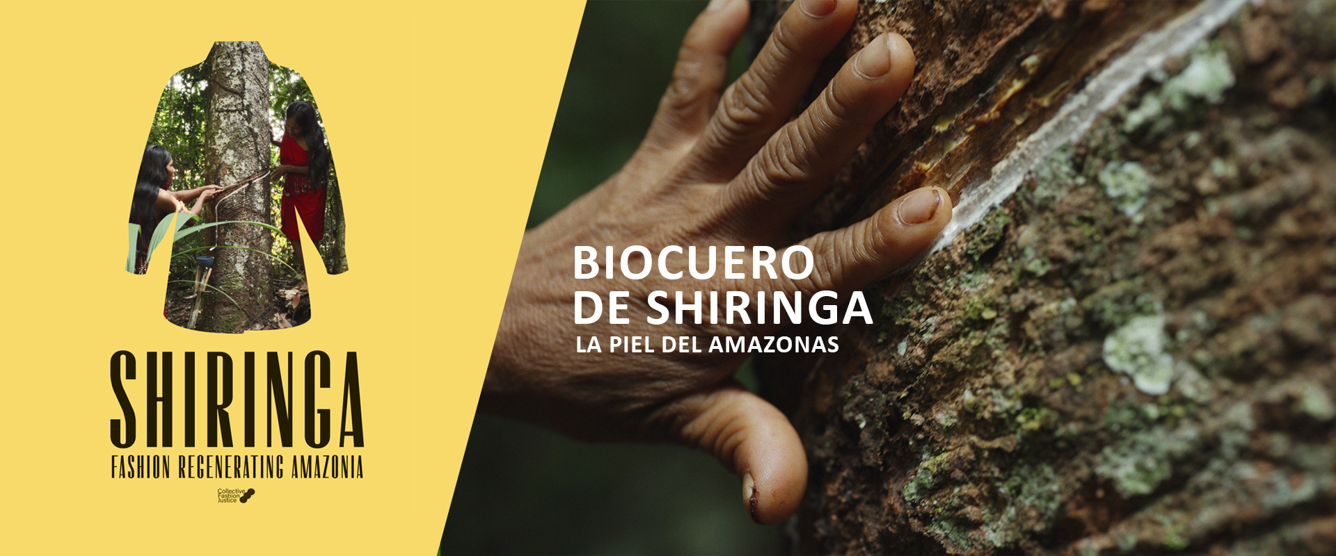 SHIRINGA